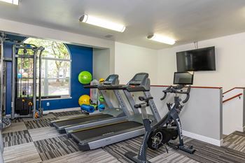 Witham hill oaks | gym